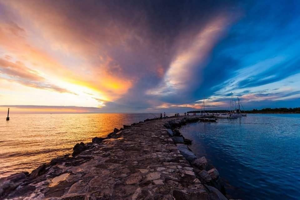 Apartman Morena Novigrad Istria エクステリア 写真