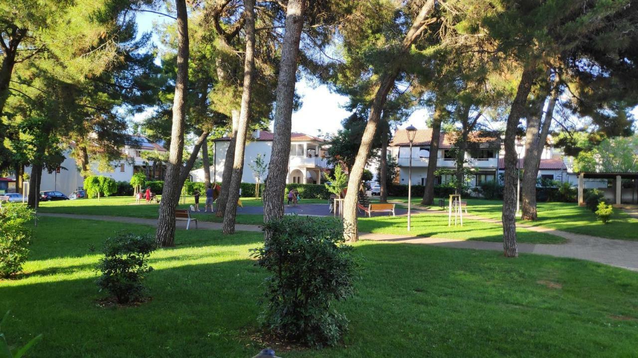 Apartman Morena Novigrad Istria エクステリア 写真